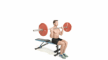 Seated Shoulder Press