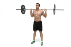 Barbell Back Squat